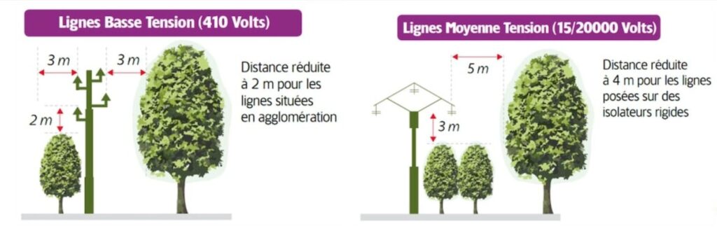 Illustration des distances de sécurité entre arbres et lignes électriques : basse tension (410V) 2-3m, moyenne tension (15