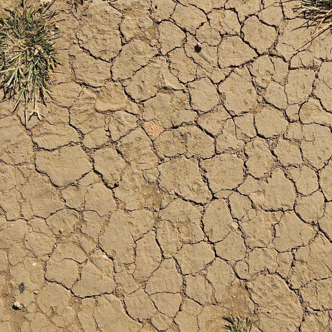 Sol craquelé et sec avec quelques rares brins d'herbe.