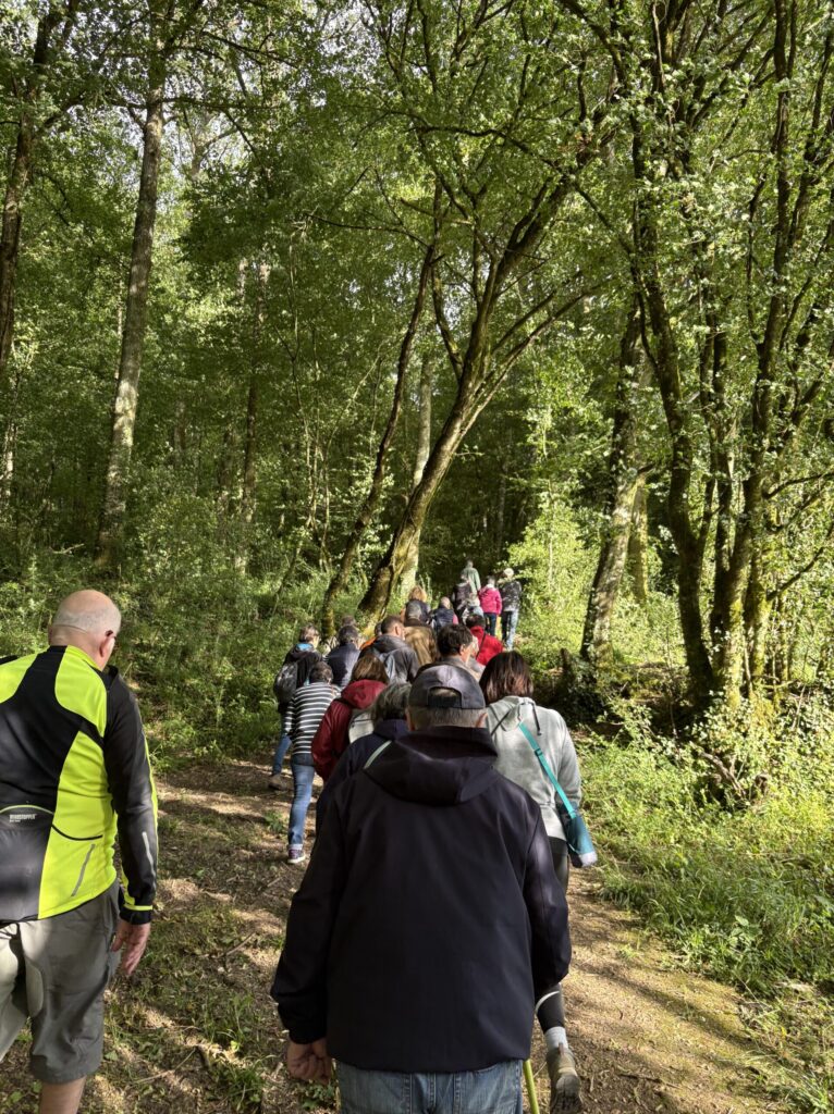 Groupe de randonneurs marchant sur un sentier forestier ombragé, vêtus de tenues adaptées à la marche en extérieur.