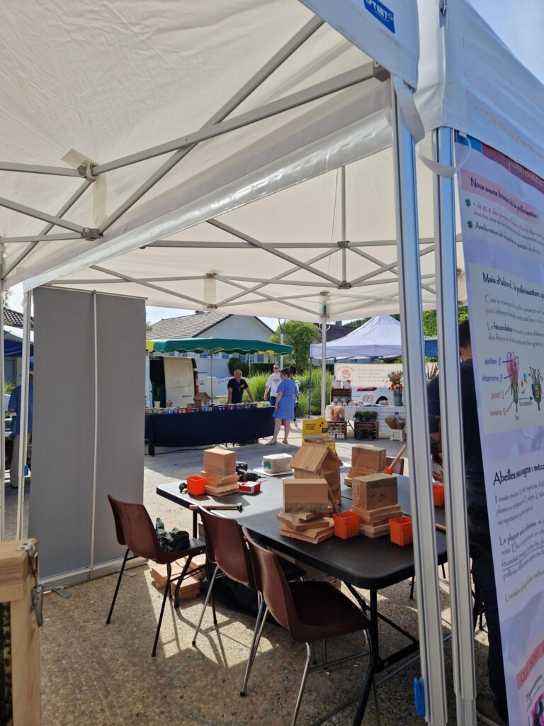 Stand d'information sur la pollinisation avec maquettes de ruches et panneaux éducatifs sous tente.