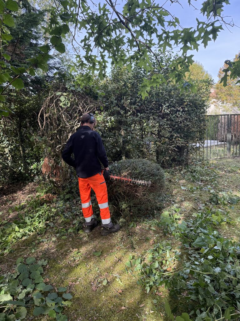 Personne en tenue orange coupant des végétaux avec une débroussailleuse dans un buisson dense.