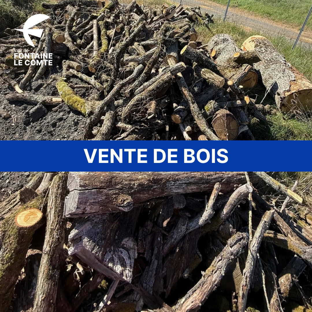 Pile de bois coupés en vente, "Vente de bois" à Fontaine-le-Comte.