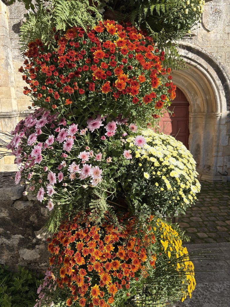 Plante fleurie en pot avec chrysanthèmes rouges, roses et jaunes devant une façade ancienne en pierre.