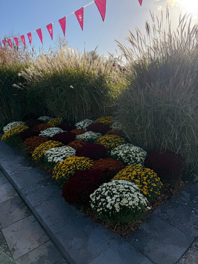 Plantes en bordure de chemin avec fleurs jaunes, blanches et rouges, sous bannières rouges, ambiance champêtre.