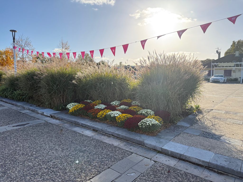 Floraison colorée en bordure de trottoir, drapeau festif rouge et blanc, ambiance ensoleillée.