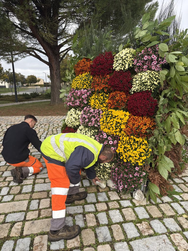 Deux jardiniers aménagent une bordure fleurie colorée près d’un trottoir en pavés.