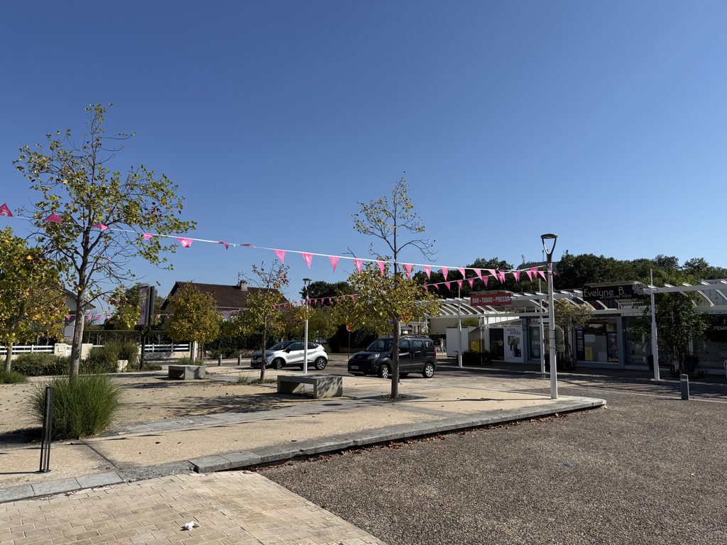 Parking ensoleillé avec drapeaux roses, arbres et commerces, ciel dégagé.