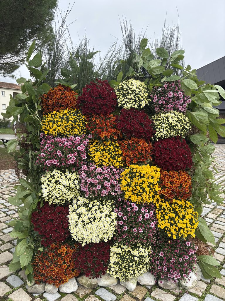 Floral arrangement coloré avec chrysanthèmes en dégradé de rouge, jaune et blanc, bordé de feuillage vert.